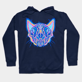 Diaphonized cat skull Pan flag edition Hoodie